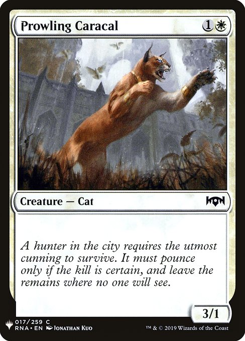 Prowling Caracal (ES)