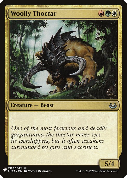 Woolly Thoctar (ES)