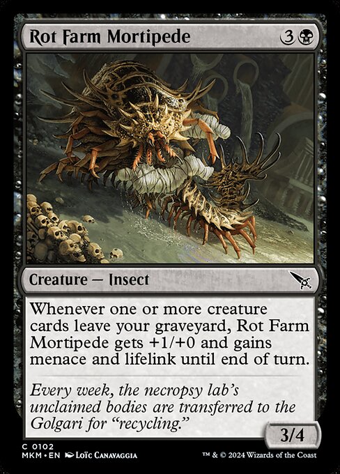 Whenever one or more creature cards leave your graveyard, Rot Farm Mortipede gets +1/+0 and gains menace and lifelink until end of turn.