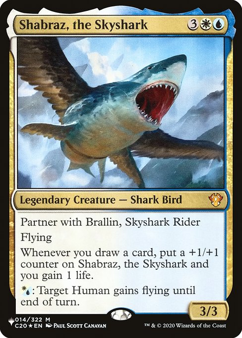 Partner with Brallin, Skyshark Rider
Flying
Whenever you draw a card, put a +1/+1 counter on Shabraz, the Skyshark and you gain 1 life.
{W/U}: Target Human gains flying until end of turn.
