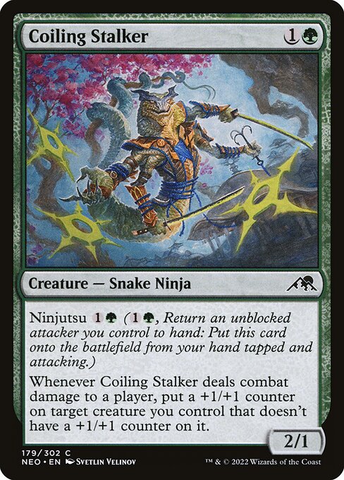 Ninjutsu {1}{G} ({1}{G}, Return an unblocked attacker you control to hand: Put this card onto the battlefield from your hand tapped and attacking.)
Whenever Coiling Stalker deals combat damage to a player, put a +1/+1 counter on target creature you control that doesn't have a +1/+1 counter on it.
