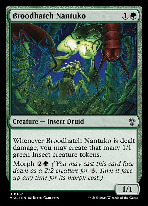 Whenever Broodhatch Nantuko is dealt damage, you may create that many 1/1 green Insect creature tokens.
Morph {2}{G} (You may cast this card face down as a 2/2 creature for {3}. Turn it face up any time for its morph cost.)