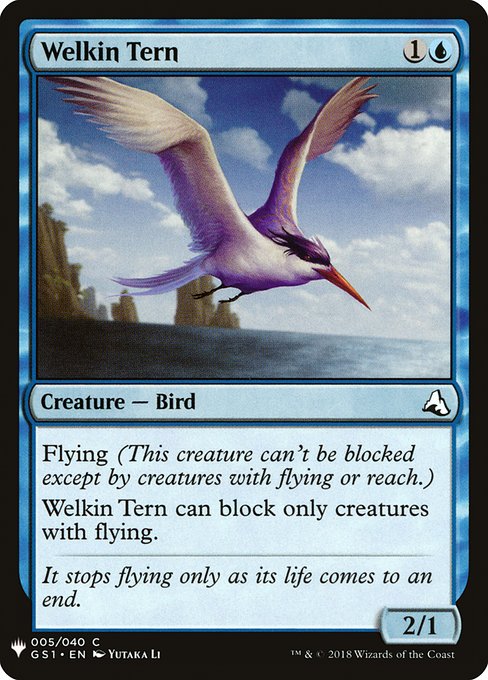Flying (This creature can't be blocked except by creatures with flying or reach.)
Welkin Tern can block only creatures with flying.