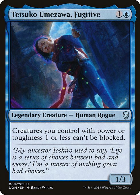 Creatures you control with power or toughness 1 or less can't be blocked.
